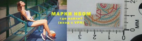 мет Алексин
