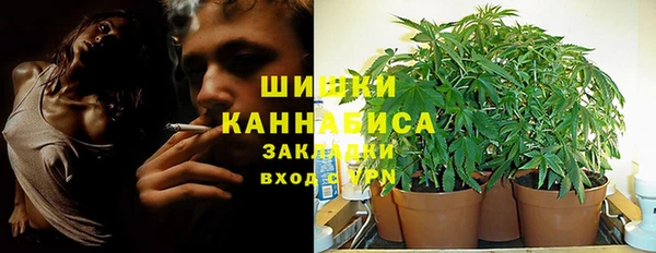 спайс Алзамай